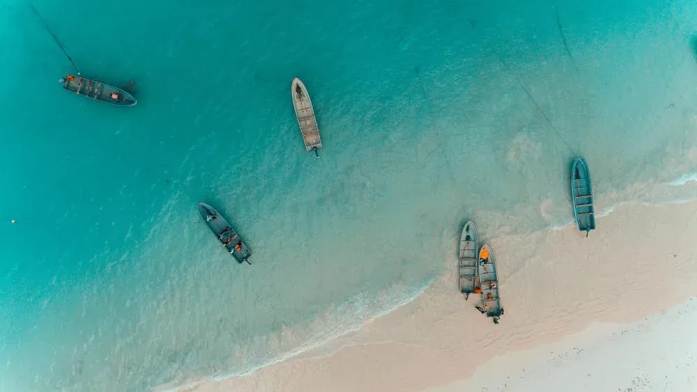 Zanzibar Beach Aerial View